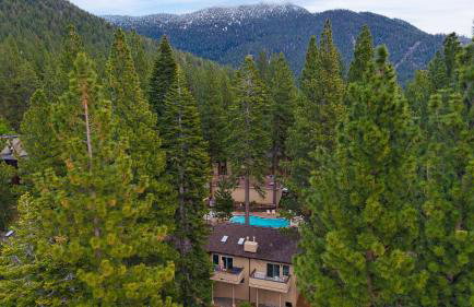 Tahoe Dreamin by Avantstay Central Location - Foto 4