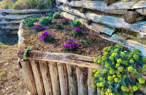 Agriturismo Villa Paradiso Esotico - Photo 40