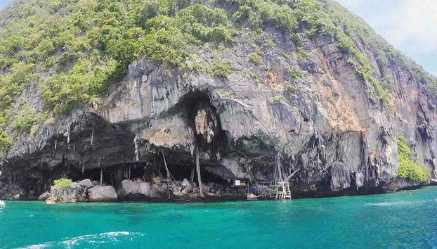 Crucero por las islas Phi Phi - Foto 4