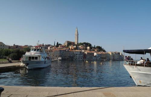 Residence Lorena Bungalow Lavanda 1 - Foto 24