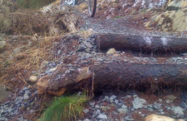 Silver Ridge, 2 House O` Hill - Foto 15