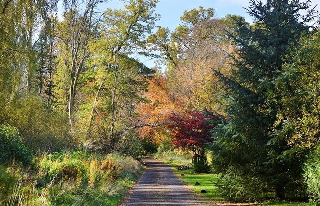 Finnich Cottages - Photo 52