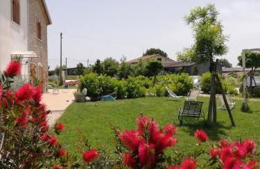 Masseria Fontana dei Fieri - Foto 77