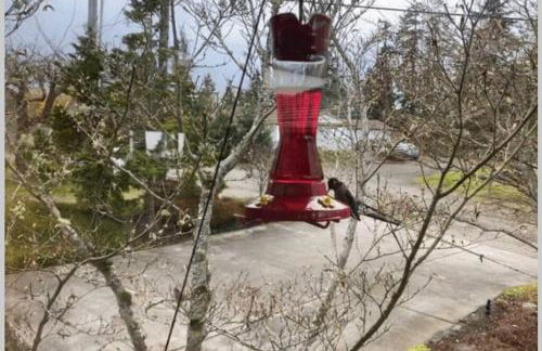 Crash Pad Bed and Breakfast - Foto 65