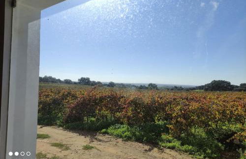 Turismo Rural Pedremoura - Foto 18