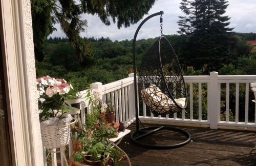 romantische Ferienwohnung Sachsenhof 3 - Foto 22