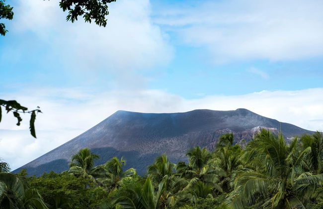 Castle Tree House - Photo 16