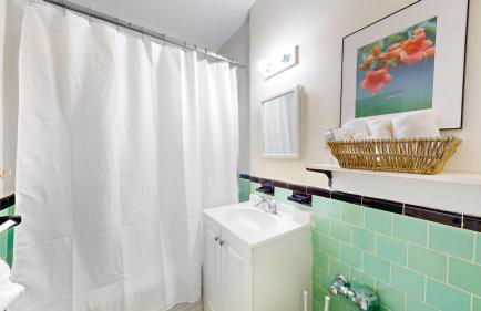 Cozy 1B, Green Line, Boston Coll, Elev, Roof Deck - Foto 10