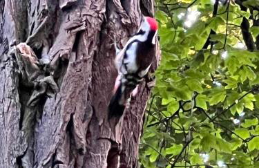 W Kręgu Natury - Foto 53