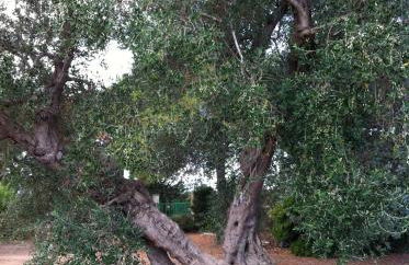 Agriturismo Mele - Foto 32