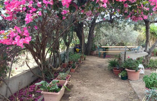 Always on Foot 3 min to the Beach Center With Double Terrace - Photo 26