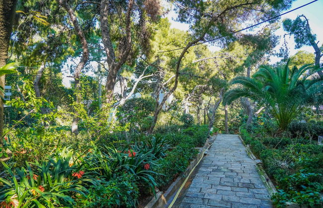 Secret Aktis by BluPine - Foto 34