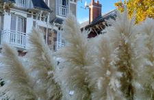 LE CISE EAU À bois - Foto 35