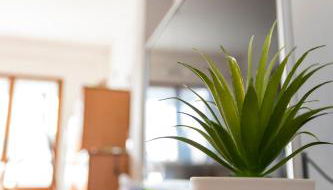 Nice to stay, holiday home - Foto 4