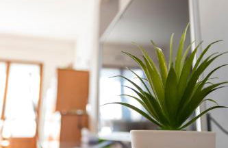 Nice to stay, holiday home - Foto 4