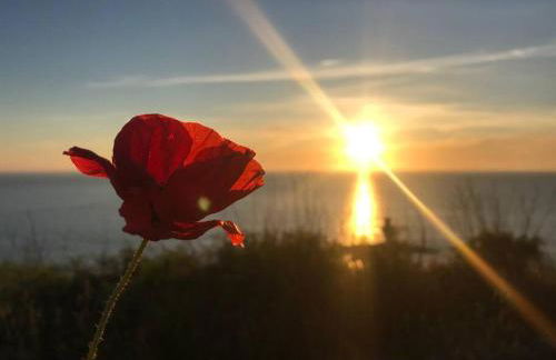 Appartement L Hippocampe - Foto 22