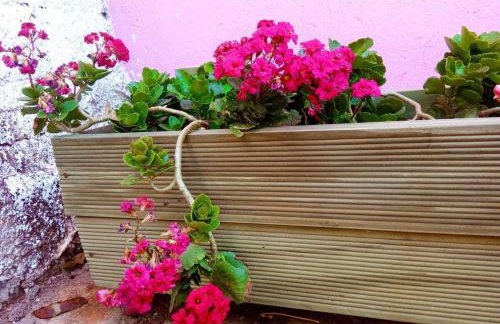 Villa Ágape - Chapada dos Veadeiros - Foto 72