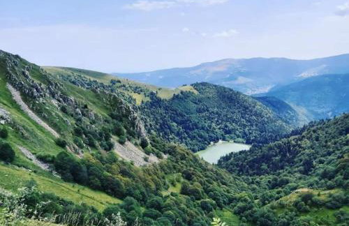 RELAX CHALET Nature Retreat - isolé sur 3 hectares - confort de LUXE - maison entière 150m2 - près de La Bresse - Foto 69