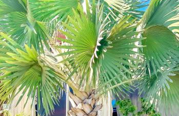 Apê Aconchegante I Wi-Fi e A/C - Foto 34