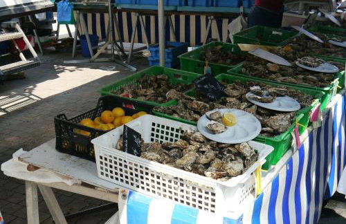 La Paudila - Foto 27