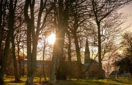 Library Cottage near Gorebridge - Foto 10