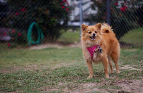 Waterfront Vacation Home near Camp Lejeune - Foto 69