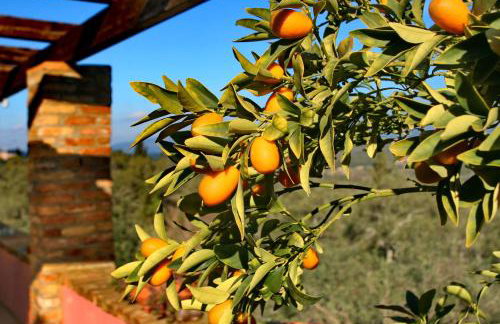 Villa Kardami -country house - Foto 6