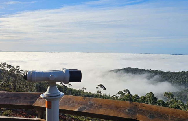 Porto Mountains Jeep Tour - Foto 6
