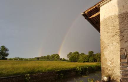 Villa Mainardi Agriturismo - Foto 22