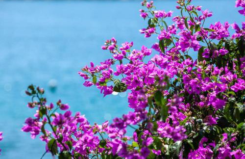 Small house at seafront - Photo 27