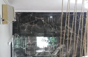 Kitnet MiniHouse do Alto - Photo 26