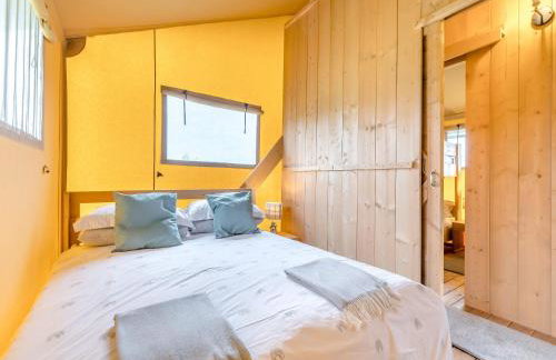 Fallow - Uk47397 - Foto 9