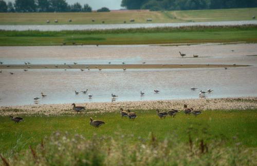 Ferienwohnung Zur Mühle - Foto 44