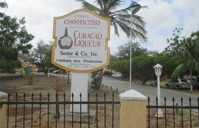 Tour di Willemstad con degustazione di liquore - Foto 3