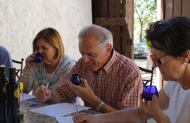 Olive Grove & Oil Mill Tour + Tasting - Photo 7