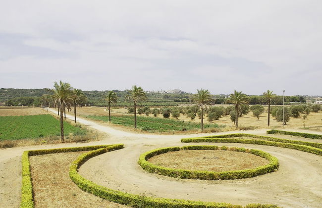 Agriturismo Masseria Galatea - Photo 25