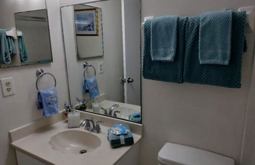 Center of Saint Augustine Beach - Foto 14