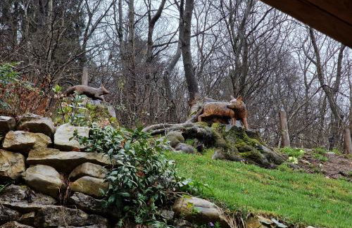 Narciso Home - Foto 63