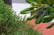 La Maisonette - Photo 24