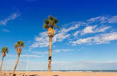 Your home at Valencia, Marina Real - Foto 29