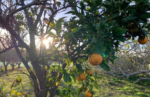 Quinta Samor - Foto 18