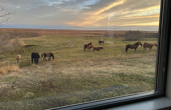 Askot Cottages - Foto 9