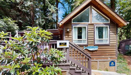 The Whale House - Foto 2