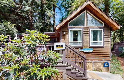 The Whale House - Foto 2