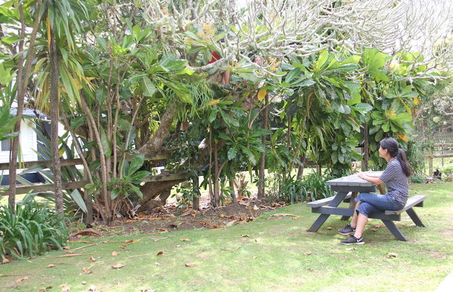 Saints Holiday Apartments - Foto 14