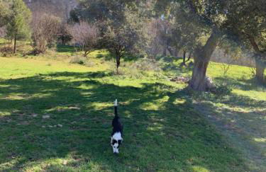 El Refugio de Felix - Photo 61