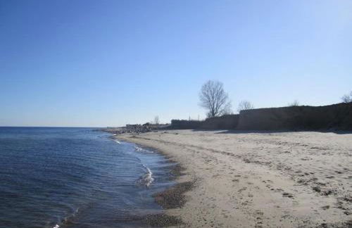 Seemöwe 1 - Foto 24