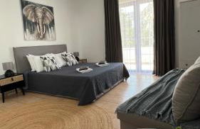 Elefanti Nani - Foto 48