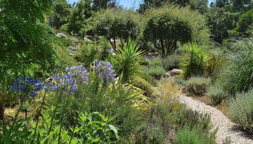 Pirilampo - Foto 5, Garden