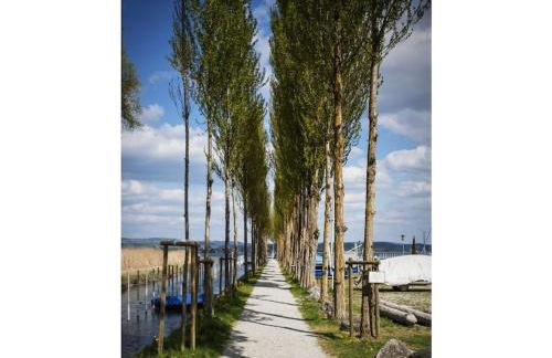 Holiday apartment in Moos with Wi-Fi - Foto 17